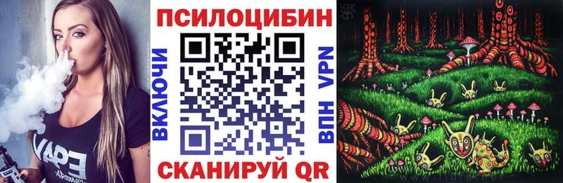 MEGA маркетплейс Богородск Псилоцибиновые грибы ЛСД хочу